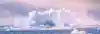 Shutterstock 1112021669