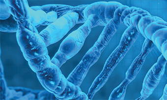 Genome 340X204