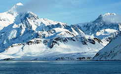 Arctic News