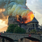norte-dame-cover.PNG
