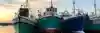APM ships large.jpg