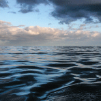 cover1.png (1).png