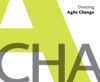 Directing Agile Change (1)
